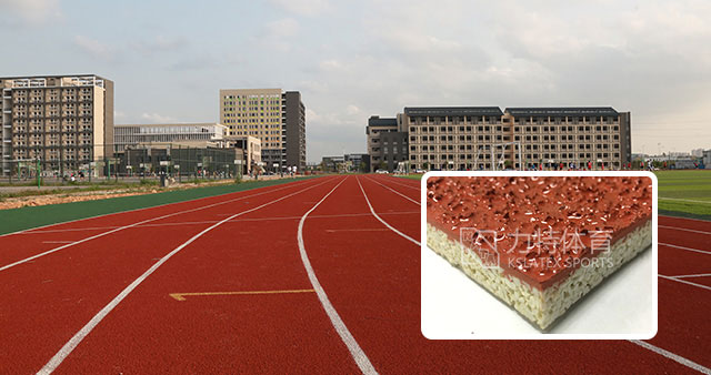 復合型塑膠跑道系列 復合型塑膠跑道系列